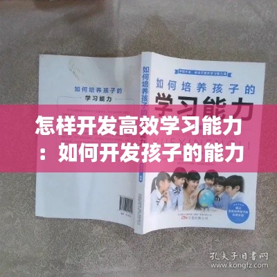 怎样开发高效学习能力：如何开发孩子的能力书籍 