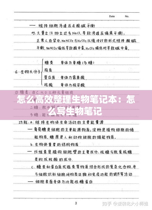 怎么高效整理生物笔记本：怎么写生物笔记 