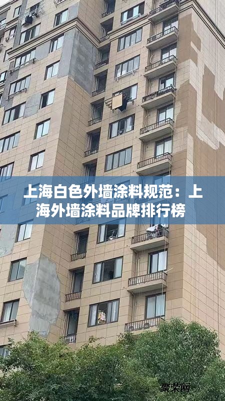 青天白日 第2页