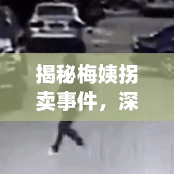 揭秘梅姨拐卖事件，深度解析百度下的真相探索