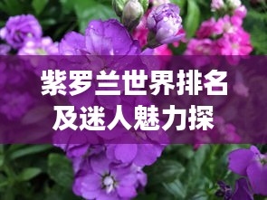 鸢飞戾天 第3页