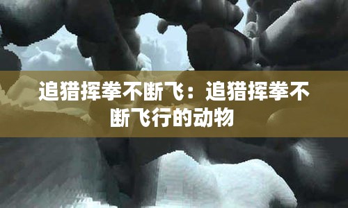 追猎挥拳不断飞：追猎挥拳不断飞行的动物 