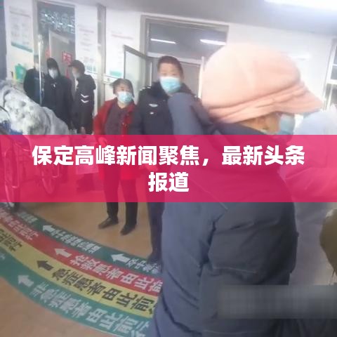保定高峰新闻聚焦，最新头条报道
