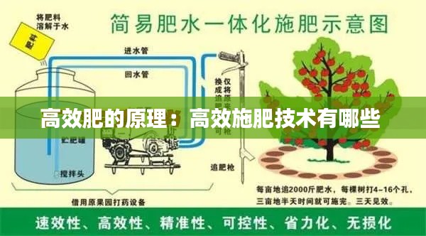 高效肥的原理：高效施肥技术有哪些 