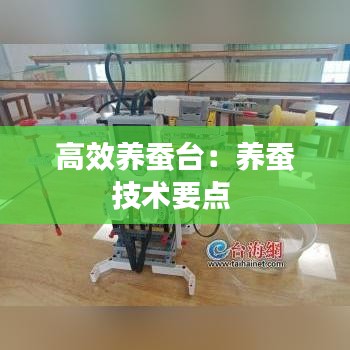 高效养蚕台：养蚕技术要点 
