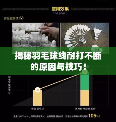 不飞则已 第2页