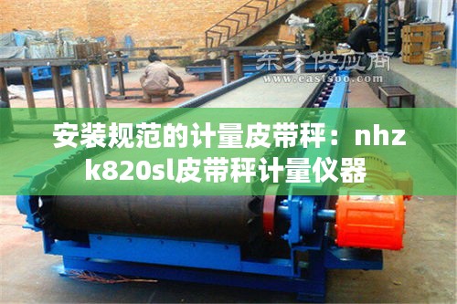 安装规范的计量皮带秤：nhzk820sl皮带秤计量仪器 