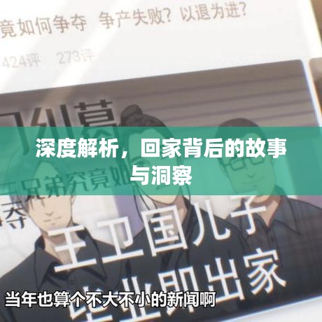 深度解析，回家背后的故事与洞察