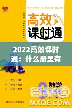椎髻布衣 第2页
