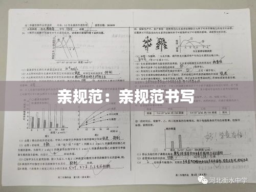 亲规范：亲规范书写 