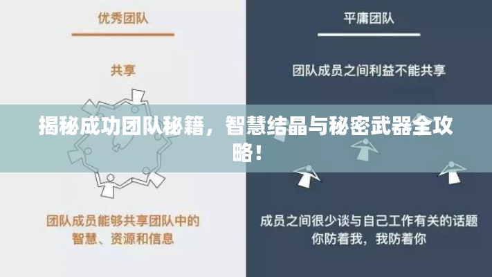 揭秘成功团队秘籍，智慧结晶与秘密武器全攻略！