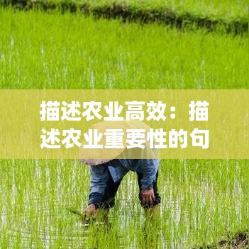 天生丽质 第2页