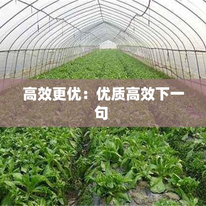 高效更优：优质高效下一句 
