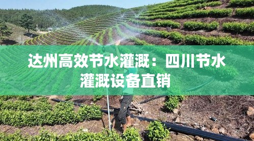 达州高效节水灌溉：四川节水灌溉设备直销 