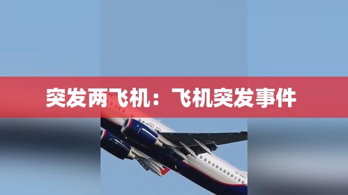 突发两飞机：飞机突发事件 