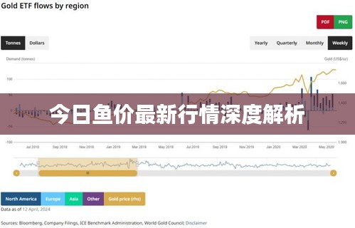 今日鱼价最新行情深度解析