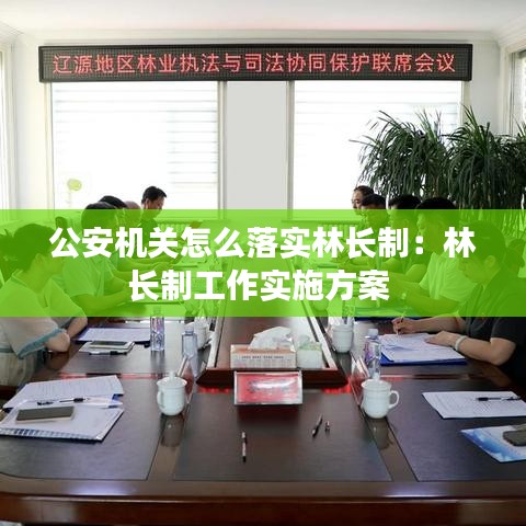 公安机关怎么落实林长制：林长制工作实施方案 