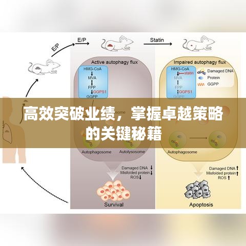 高效突破业绩，掌握卓越策略的关键秘籍