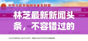 林芝最新新闻头条，不容错过的当地资讯速递