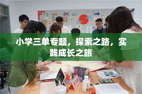 小学三单专题，探索之路，实践成长之旅