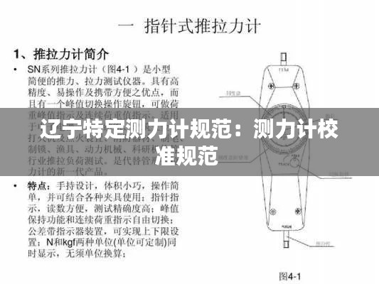 辽宁特定测力计规范：测力计校准规范 