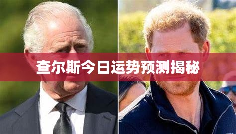 查尔斯今日运势预测揭秘