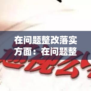 在问题整改落实方面：在问题整改方面存在的不足 
