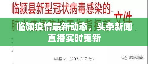 眼张失道 第2页