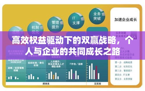 高效权益驱动下的双赢战略，个人与企业的共同成长之路