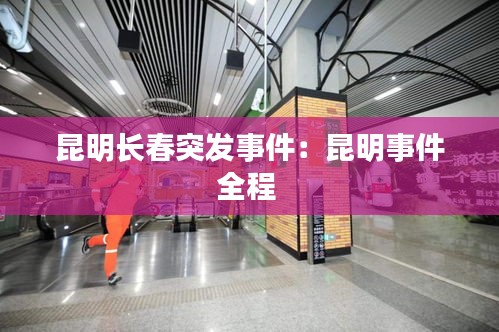 笨鸟先飞 第2页