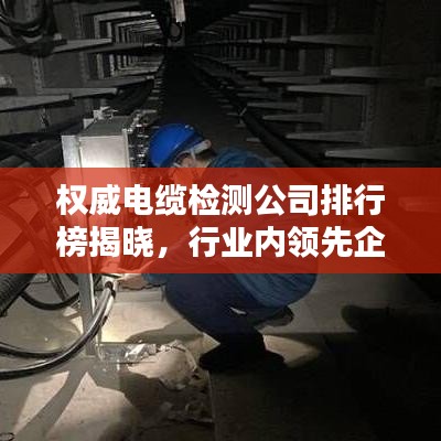 权威电缆检测公司排行榜揭晓，行业内领先企业榜单出炉！