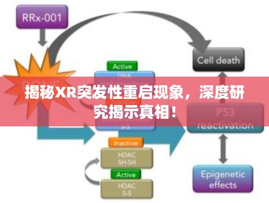 揭秘XR突发性重启现象，深度研究揭示真相！