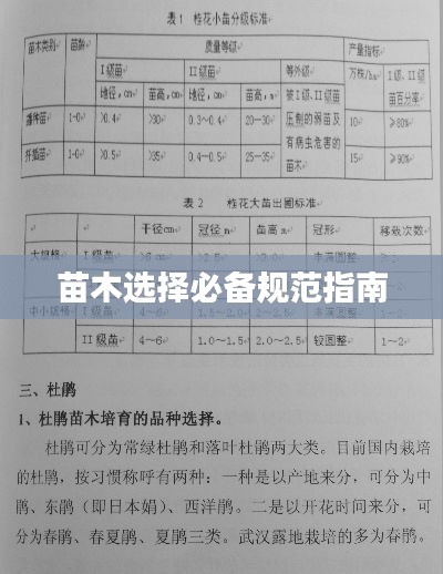 苗木选择必备规范指南
