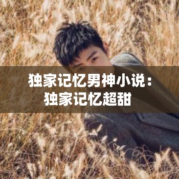 独家记忆男神小说：独家记忆超甜 