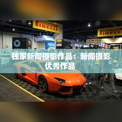 独家新闻摄影作品：新闻摄影优秀作品 