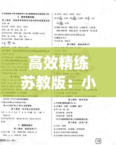 高效精练苏教版：小学数学高效精练五年级下册苏教版答案 