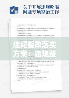 违纪整改落实方案：违规整改报告 