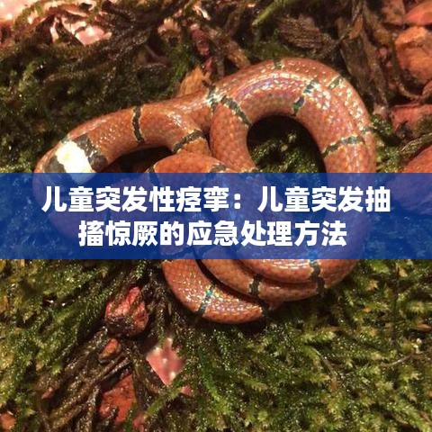 儿童突发性痉挛：儿童突发抽搐惊厥的应急处理方法 