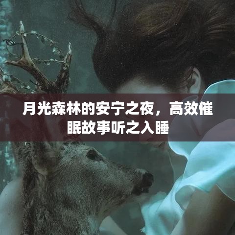 月光森林的安宁之夜，高效催眠故事听之入睡