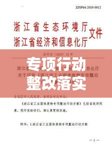 专项行动整改落实方案：专项整改工作的实施方案 