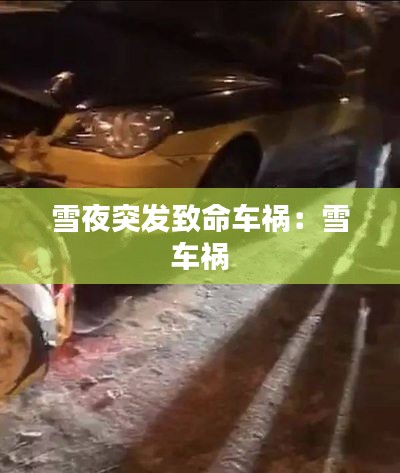 飞黄腾踏 第3页