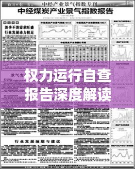 权力运行自查报告深度解读，揭示问题，提出整改建议，促进规范运行！