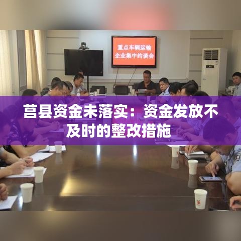 莒县资金未落实：资金发放不及时的整改措施 