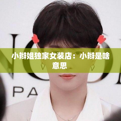 小辫姐独家女装店：小辫是啥意思 