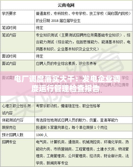 电厂调度落实大干：发电企业调度运行管理检查报告 