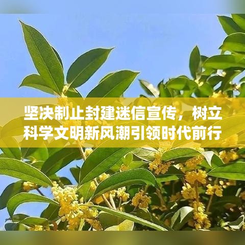 坚决制止封建迷信宣传，树立科学文明新风潮引领时代前行