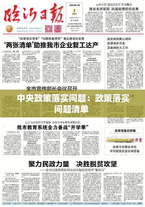 中央政策落实问题：政策落实问题清单 