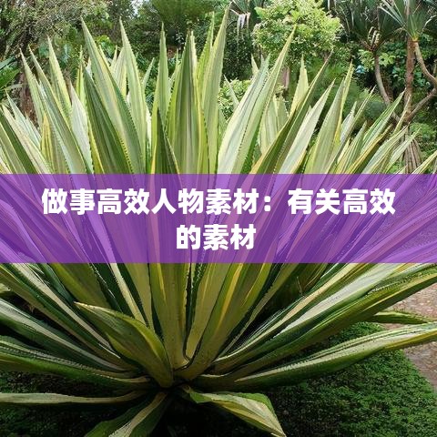 做事高效人物素材：有关高效的素材 