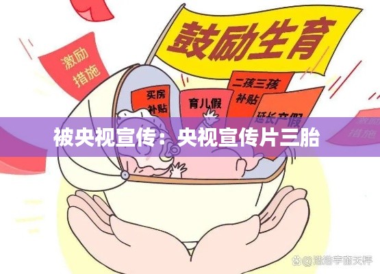 张冠李戴 第2页