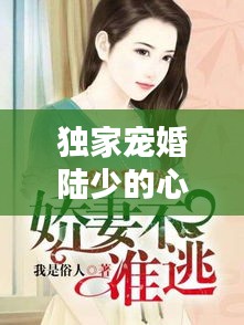 独家宠婚陆少的心尖妻：独家宠婚陆少心尖妻讲了什么 